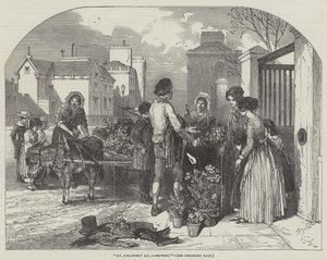 Tout souffle! Tout pousse! - Myles Birket Foster